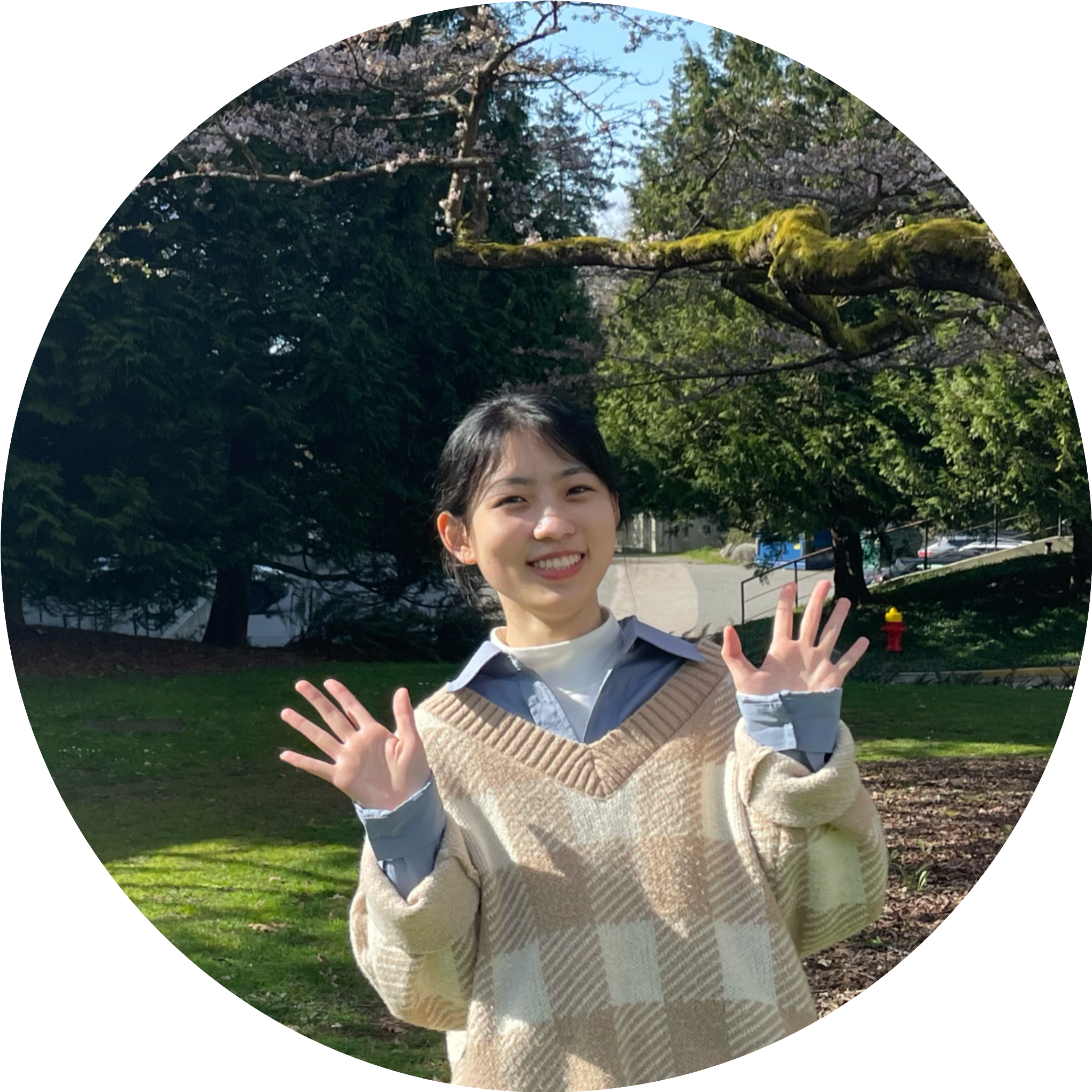 Xiaofei Sun prodile picture